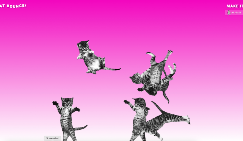Cat Bounce
