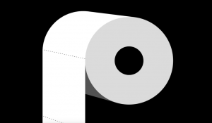 Paper Toilet